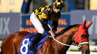 Champion trainer sets sights on $10m Golden Eagle