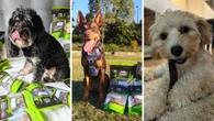 These healthy and ‘addictive’ dog treats are taking Aussie homes by storm
