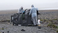 Full picture of deadly flu on island yet to be revealed