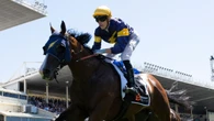 Lucky phone call secures jockey’s first Caulfield Cup ride in eight years