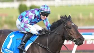 Why Pride of Jenni trainers are pumped ahead of Doomben Cup