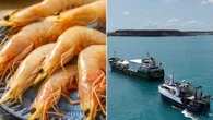Australian seafood giant to close after more than 60 years