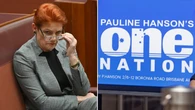 Leader Pauline Hanson reveals the future of One Nation
