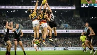 AFLReduced crowd approved for AFL Showdown