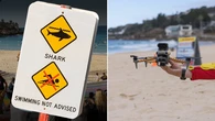 Major change coming to beaches after shark attack
