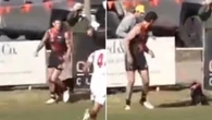 Former AFL player taken to hospital after mid-game dog bite