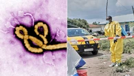 Alarm sounded as Ebola outbreak kills dozens more