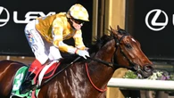 ‘Upset’ trainers weigh $2m play for axed Melbourne Cup favourite