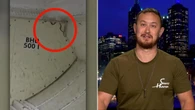 Chilling way snake likely made it onto a plane at Melbourne Airport