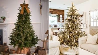 These are the best Christmas trees for the 2025 holiday season