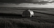 Nebraska’s New Mining Rules: Infrastructure Safeguard or Soft Ban in Disguise?