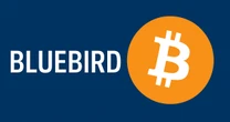 UK Gold Mining Company Bluebird to Convert Gold Revenues into Bitcoin