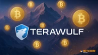 Bitcoin Miner TeraWulf (WULF) Stock Jumps 25% on Positive AI News