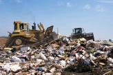 Food waste in US landfills produces emissions equal to 12 million cars