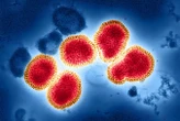 Single antiviral shot could offer better protection than flu vaccines
