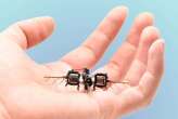 Tiny insect-like robot can flip, loop and hover for up to 15 minutes