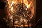 Trees may be getting more flammable because of climate change