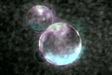 Have scientists really made a living cell from scratch? Not quite
