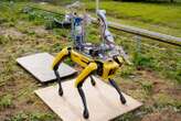 Robot dog can stifle weeds by blasting them with a flamethrower