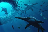 'Sword Dragon' ichthyosaur had enormous eyes and a lethal snout