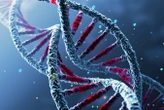 Key genetic differences found in people with chronic fatigue syndrome