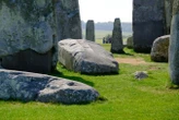 Stonehenge's altar stone probably wasn't transported by a glacier