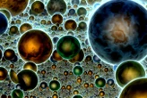 We are closer than ever to finally proving the multiverse exists