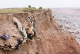 Toxic waste is spilling on to beaches as rising seas erode landfills