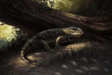 Ancient monstersaur had 'goblin-like' teeth and sheddable tail