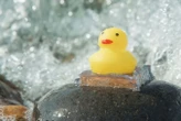 Super-sticky hydrogel is 10 times stronger than other glues underwater