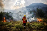 2026 will be the hottest year on record, leading scientist predicts