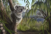 Extinct relative of koalas discovered in Western Australia