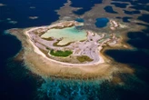 Coral reefs on a remote archipelago shrugged off a massive heatwave