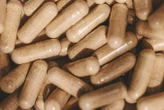 Can prebiotics, probiotics or postbiotics help your ageing microbiome?
