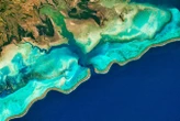 There may be a surprising upside to losing coral reefs as oceans warm