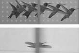 Hummingbirds have two amazing ways to fly through tiny gaps