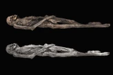 Ancient Siberian ice mummy is covered in 'really special' tattoos