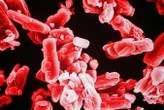 One-time CRISPR treatment could permanently lower cholesterol