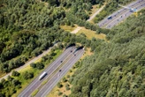 Crossings review: How to help wildlife live with motorways