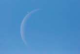 When to see Venus disappear behind the moon for its lunar occultation