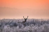 The science of why spending time in nature is just so good for us