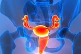 Ovary identity shift after menopause may contribute to inflammation