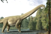 Sauropod dinosaur's last meal reveals that it didn't bother to chew