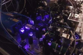 Odd “butterfly” molecule could lead to new parts of the quantum realm