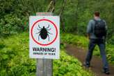 Lyme disease test gives hope for a speedier diagnosis