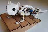 Robotic mouse with flexible spine moves with greater speed and agility