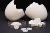 3D-printed egg shells can help bones regrow