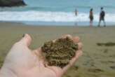 Dumping green sand in shallow seas could let them absorb more CO2