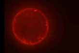 Synthetic biology may finally be ready to solve life's biggest mystery
