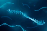Blood test could predict the severity of depression in adolescents